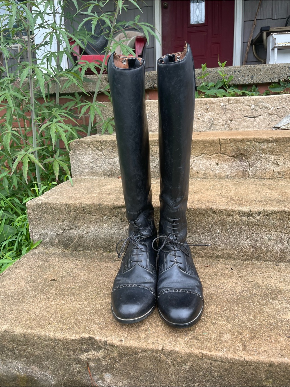 Ariat Black Tall/ Full Calf Riding Boots - Picture 2 of 5